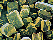 F/col SEM of crystals of granulated cane sugar