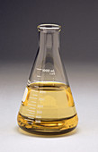 Rape seed oil in laboratory flask