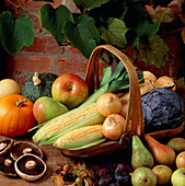 Autumn harvest vegetable selection