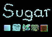 Selection of different types of sugar crystals