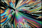 Polarised LM of crystals of sugar (saccharose)