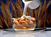 Milk being poured into a bowl of cornflakes cereal