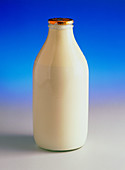 View of a bottle of full fat gold-top milk
