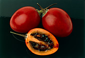 Tamarillo fruits