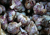 Garlic bulbs