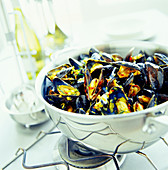 Mussels