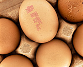 Organic eggs