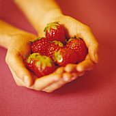 Hands holding strawberries