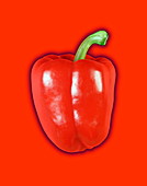 Red pepper