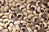Soaking black-eye beans