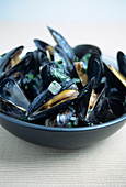 Mussels