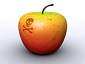 Apple with poison symbol,artwork