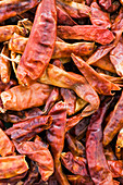 Dried red chilli peppers