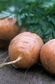 Organic carrots (Daucus carota 'Parmex')
