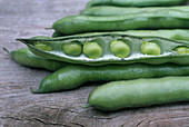 Organic broad beans (Vicia faba)