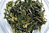 Bai Mu Dan tea