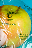 Biodegradable food packaging