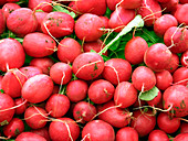 Radishes