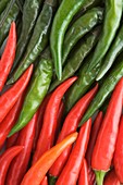 Red and green chilli peppers