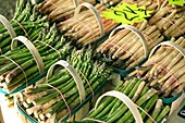 Asparagus spears