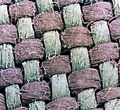 Coloured SEM of the weave of linen