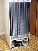 Refrigerator cooling fans