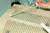 Researcher tests for mould on medieval manuscript