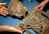 Mummified body of a boy dating from around 1600