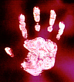 Human handprint