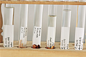Forensic entomology samples