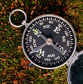 Close-up of a magnetic compass on moss and leaves