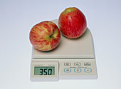Apples on scales