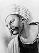Averroes,Arabian physician
