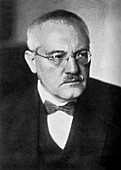 Carl Bosch (1874-1940),German chemist