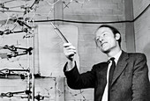Francis Crick in 1953