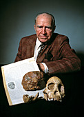Prof. Raymond Arthur Dart & Tuang specimen