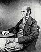 Portrait of biologist,Charles Darwin aged 45