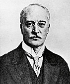 Rudolf Diesel,German engineer