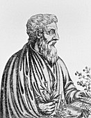 Pedanius Dioscorides,Greek physician