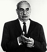 Walter Elsasser,German-American physicist