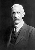 Sir Frederick Hopkins,British biochemist