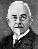 Wilhelm Johanssen
