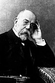 Robert Koch,German bacteriologist
