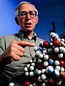 A. Klug and model of zinc finger molecule