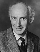 Donald Lynden-Bell,British astronomer