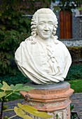 Bust of Carl Linnaeus,Swedish botanist