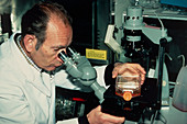 Cesar Milstein,molecular biologist