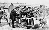 Louis Pasteur's anthrax vaccination experiment