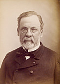 Louis Pasteur,French microbiologist