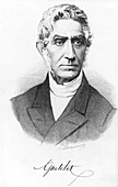 Adolphe Quetelet,Belgian mathematician